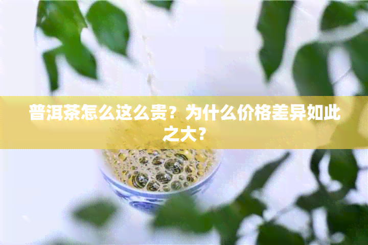 普洱茶怎么这么贵？为什么价格差异如此之大？