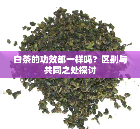 白茶的功效都一样吗？区别与共同之处探讨