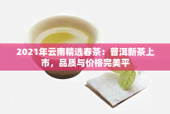 2021年云南精选春茶：普洱新茶上市，品质与价格完美平