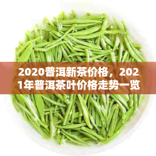 2020普洱新茶价格，2021年普洱茶叶价格走势一览表