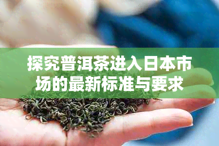 探究普洱茶进入市场的最新标准与要求