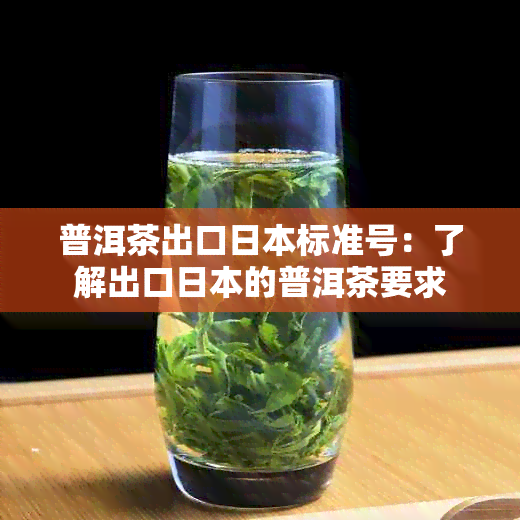 普洱茶出口标准号：了解出口的普洱茶要求