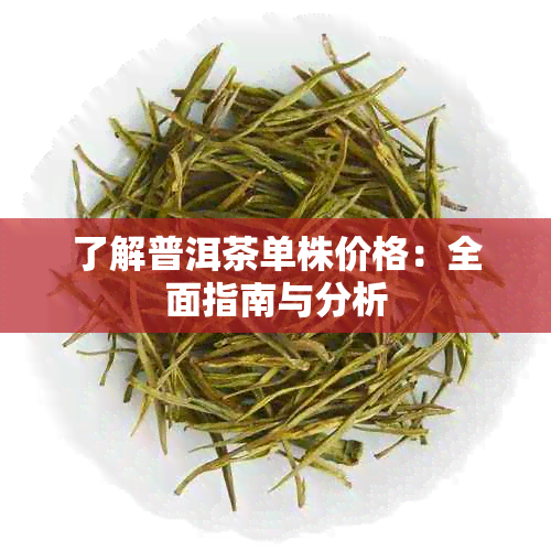 了解普洱茶单株价格：全面指南与分析