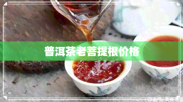 普洱茶老菩提根价格