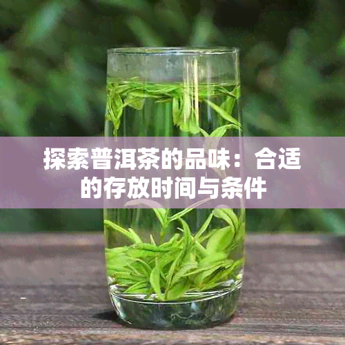 探索普洱茶的品味：合适的存放时间与条件