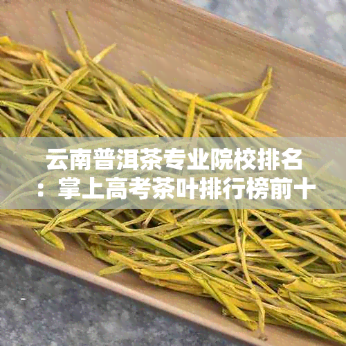 云南普洱茶专业院校排名：掌上高考茶叶排行榜前十