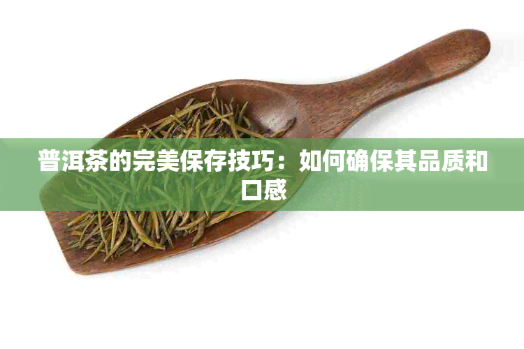 普洱茶的完美保存技巧：如何确保其品质和口感