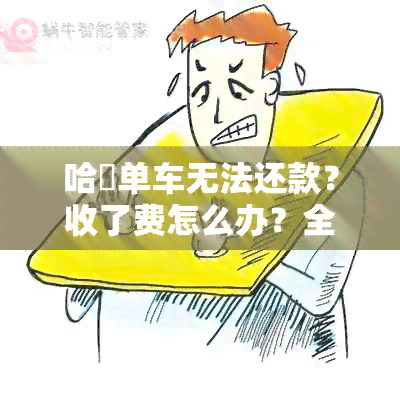 哈啰单车无法还款？收了费怎么办？全面解决方案和注意事项