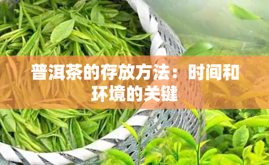 普洱茶的存放方法：时间和环境的关键