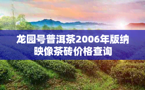 龙园号普洱茶2006年版纳映像茶砖价格查询