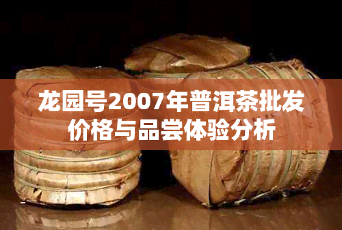 龙园号2007年普洱茶批发价格与品尝体验分析