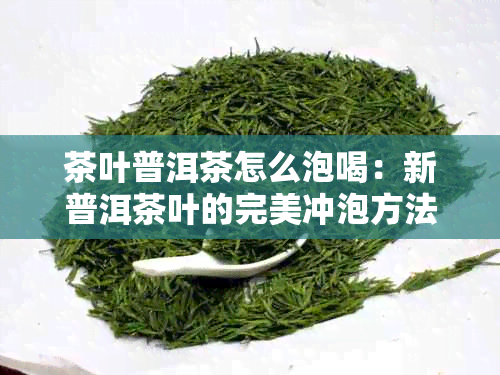 茶叶普洱茶怎么泡喝：新普洱茶叶的完美冲泡方法