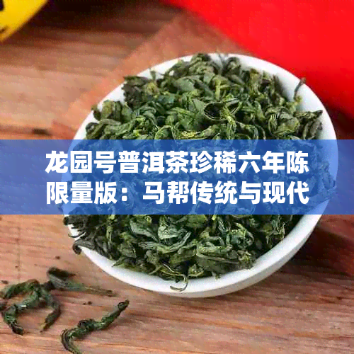 龙园号普洱茶珍稀六年陈限量版：马帮传统与现代工艺的完美融合