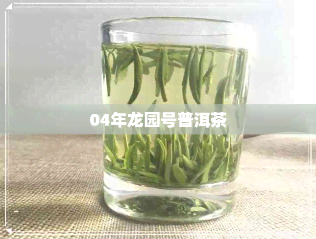 04年龙园号普洱茶