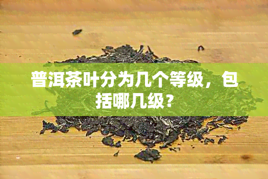 普洱茶叶分为几个等级，包括哪几级？