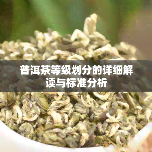 普洱茶等级划分的详细解读与标准分析