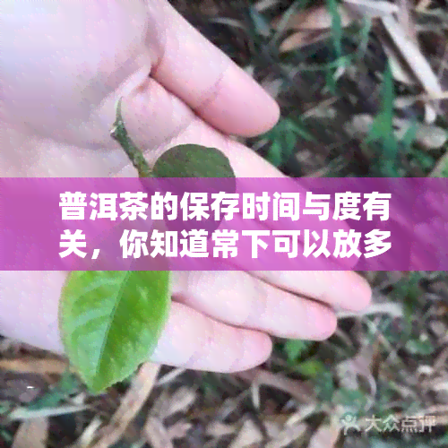 普洱茶的保存时间与度有关，你知道常下可以放多久吗？