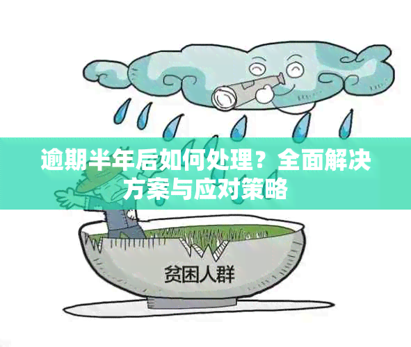 逾期半年后如何处理？全面解决方案与应对策略