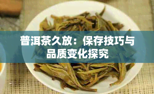 普洱茶久放：保存技巧与品质变化探究