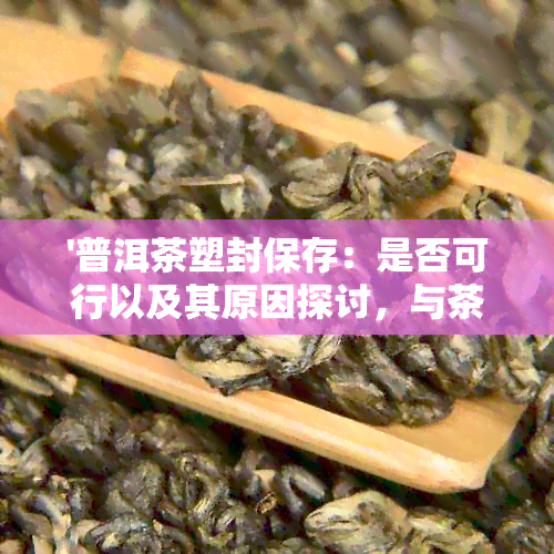 '普洱茶塑封保存：是否可行以及其原因探讨，与茶饼和包装细节解析'