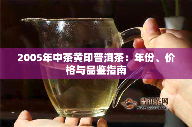 2005年中茶黄印普洱茶：年份、价格与品鉴指南