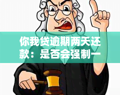 你我贷逾期两天还款：是否会强制一次性还清尾款？