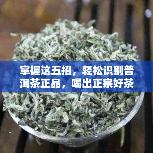 掌握这五招，轻松识别普洱茶正品，喝出正宗好茶的滋味