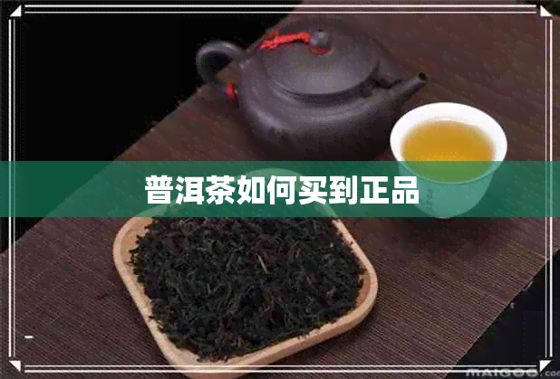 普洱茶如何买到正品