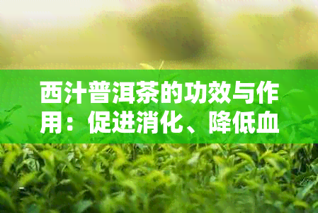 西汁普洱茶的功效与作用：促进消化、降低血脂、抗氧化等。