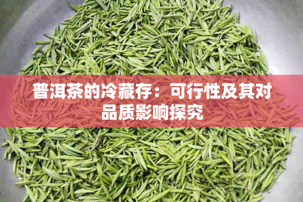 普洱茶的冷藏存：可行性及其对品质影响探究