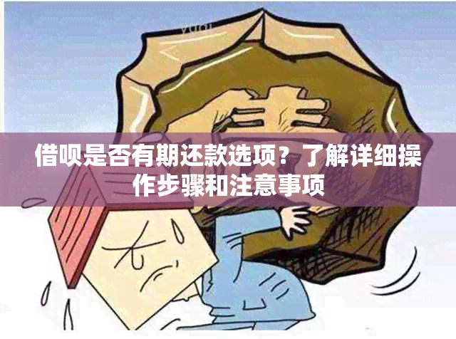 借呗是否有期还款选项？了解详细操作步骤和注意事项