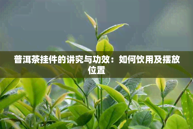 普洱茶挂件的讲究与功效：如何饮用及摆放位置