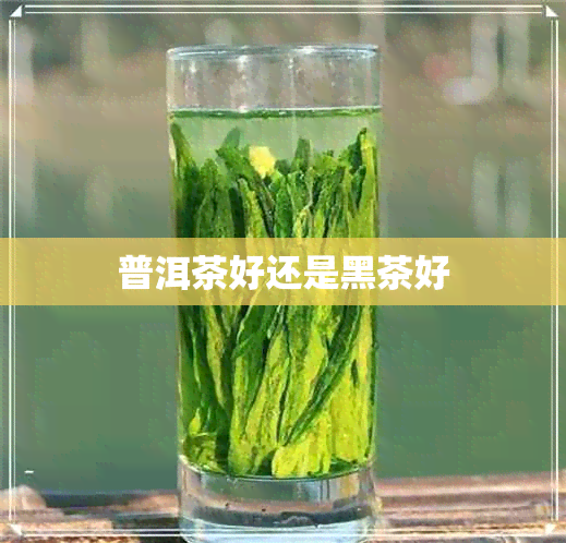 普洱茶好还是黑茶好