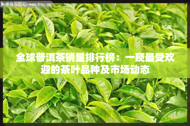 全球普洱茶销量排行榜：一窥更受欢迎的茶叶品种及市场动态