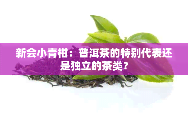 新会小青柑：普洱茶的特别代表还是独立的茶类？