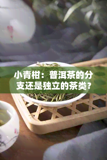 小青柑：普洱茶的分支还是独立的茶类？揭秘其独特的风味与品种