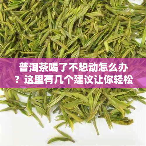 普洱茶喝了不想动怎么办？这里有几个建议让你轻松应对！