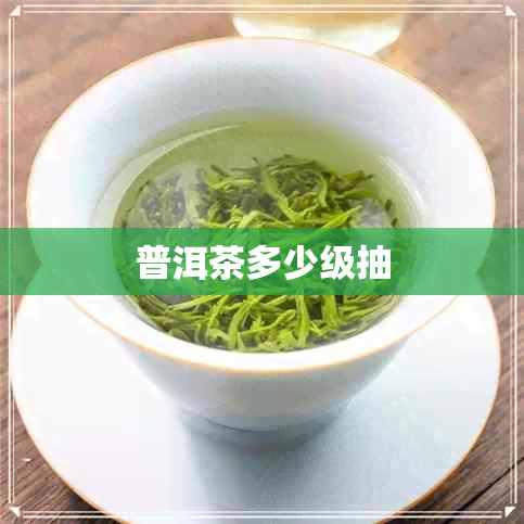 普洱茶多少级抽