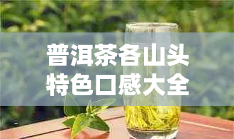 普洱茶各山头特色口感大全：探究各山头的基本特性与口感差异