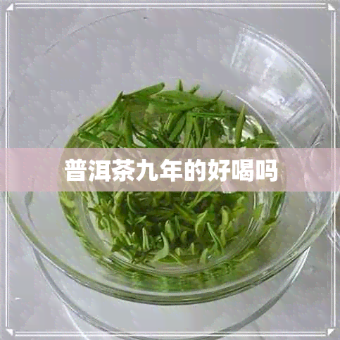 普洱茶九年的好喝吗