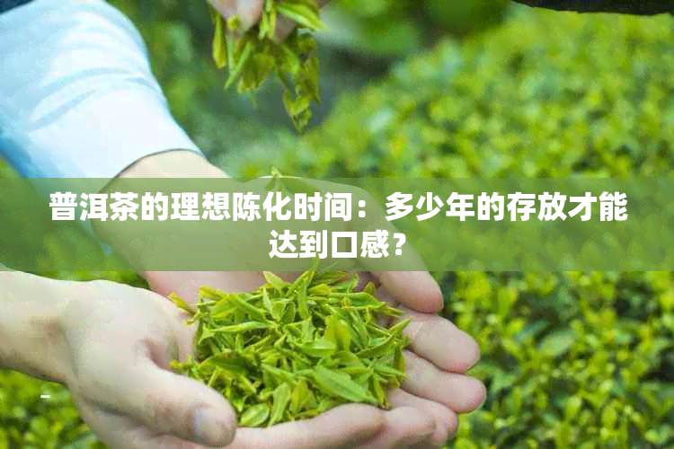 普洱茶的理想陈化时间：多少年的存放才能达到口感？