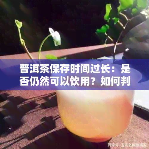 普洱茶保存时间过长：是否仍然可以饮用？如何判断和处理？