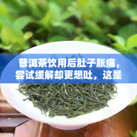 普洱茶饮用后肚子胀痛，尝试缓解却更想吐，这是什么原因？