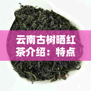 云南古树晒红茶介绍：特点功效与品质