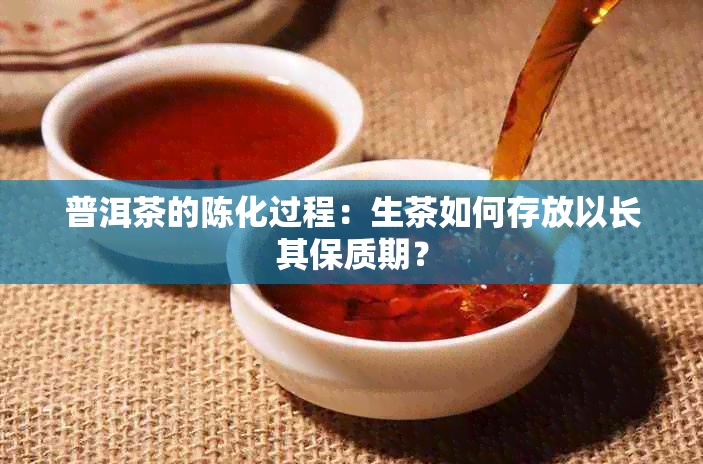 普洱茶的陈化过程：生茶如何存放以长其保质期？