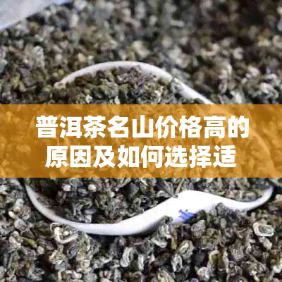 普洱茶名山价格高的原因及如何选择适合自己的普洱茶