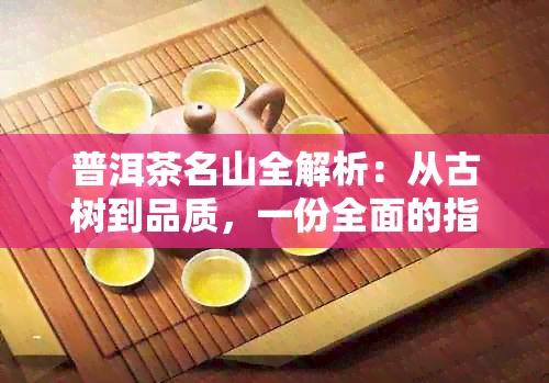 普洱茶名山全解析：从古树到品质，一份全面的指南助你挑选普洱茶