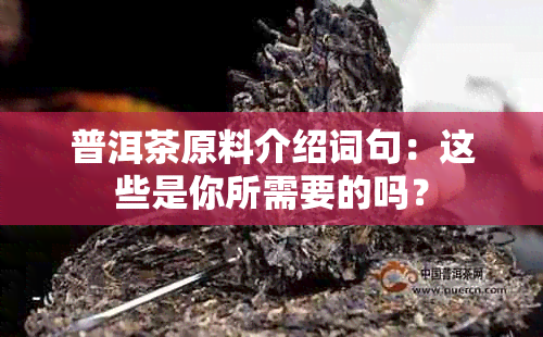 普洱茶原料介绍词句：这些是你所需要的吗？