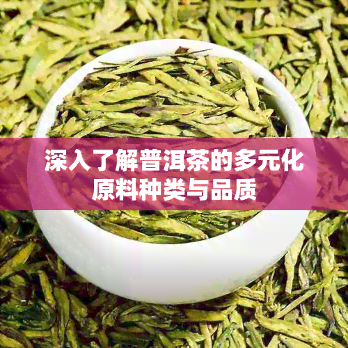 深入了解普洱茶的多元化原料种类与品质