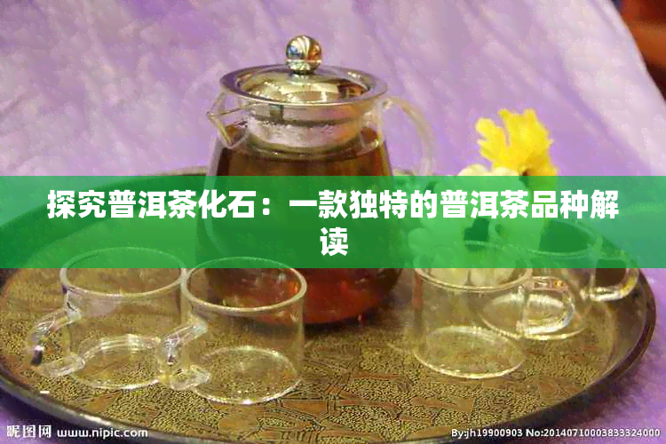 探究普洱茶化石：一款独特的普洱茶品种解读